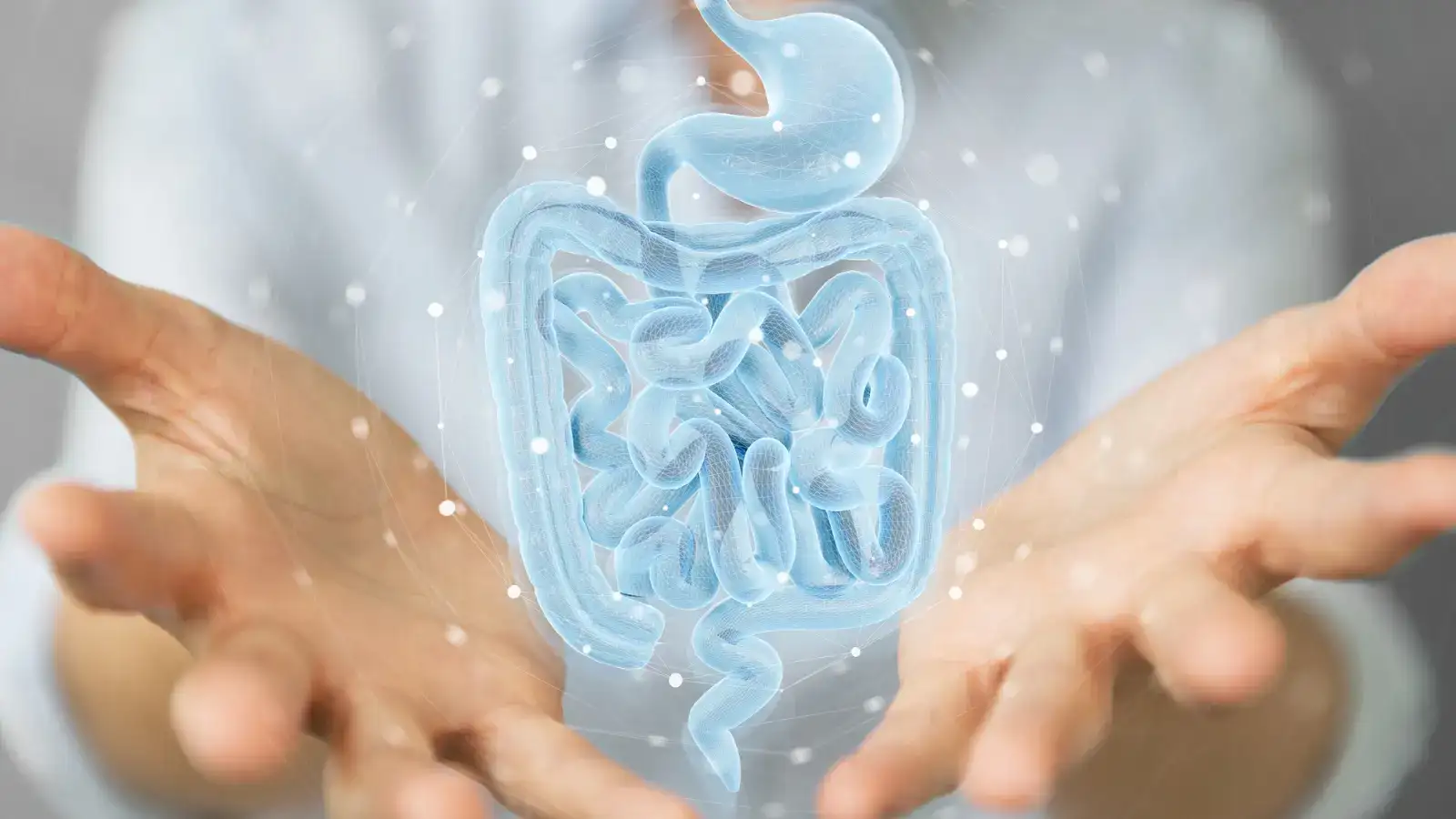 Two open hands with an illustration of the stomach and intestines floating above them