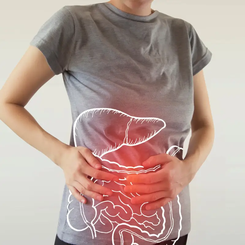 Woman holding her abdomen with illustrated digestive system overlay highlighting gut inflammation and colon health